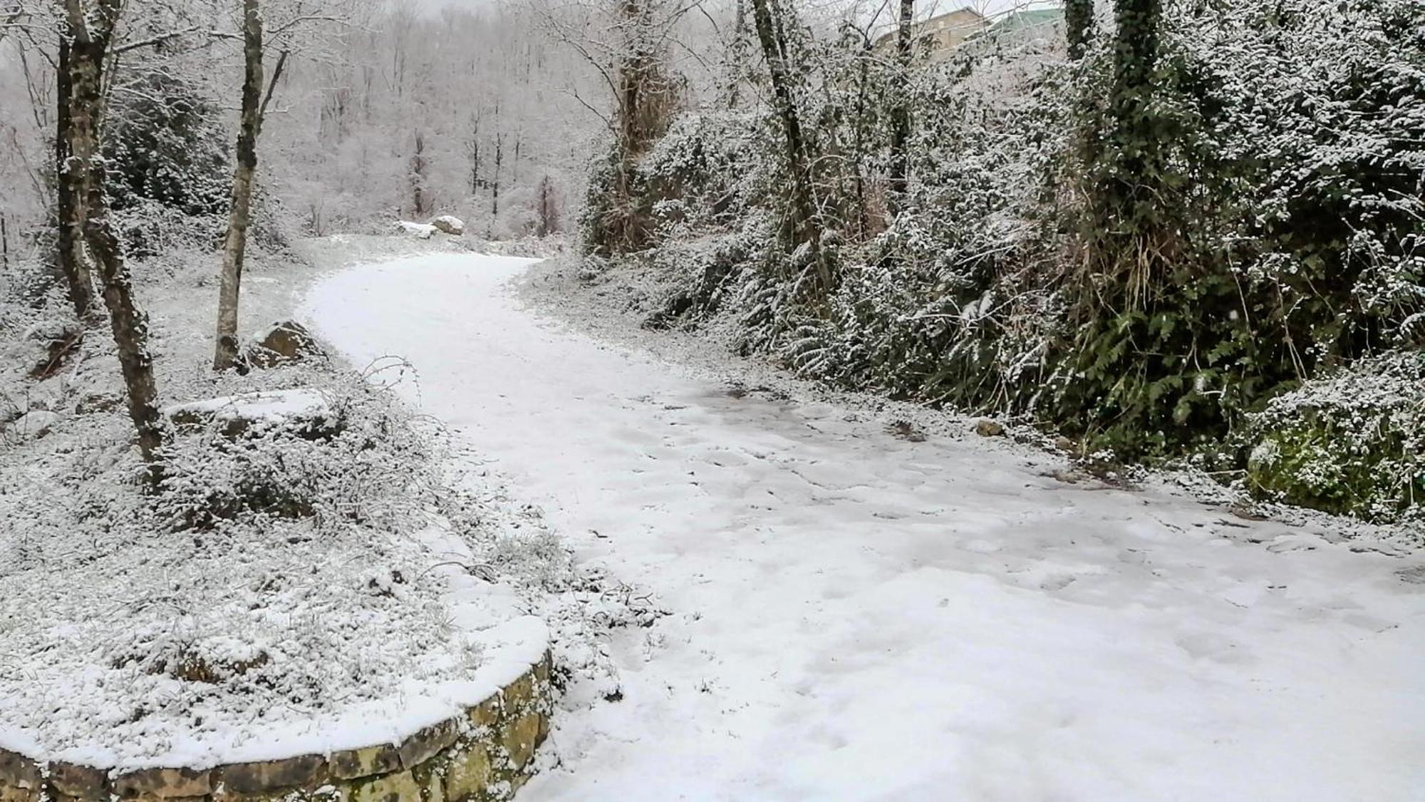 Castello Baronale Villa Novi Velia Dış mekan fotoğraf